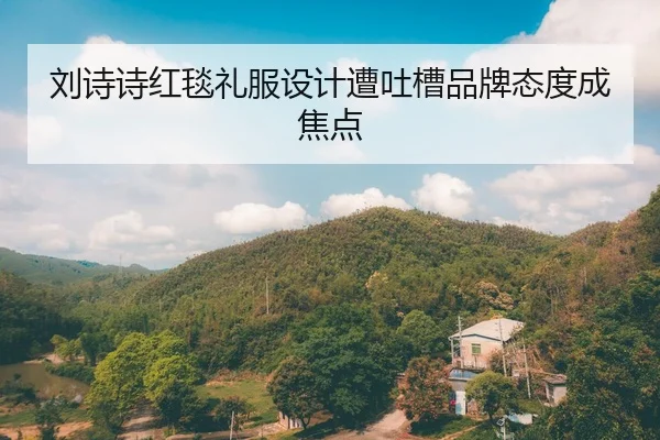 刘诗诗红毯礼服设计遭吐槽品牌态度成焦点